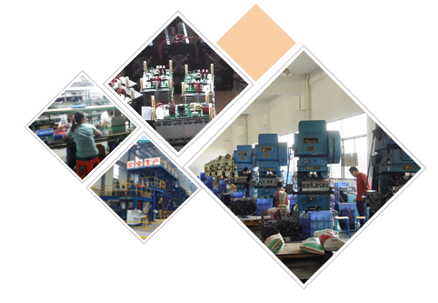 專業(yè)團(tuán)隊(duì)滿足定制需求